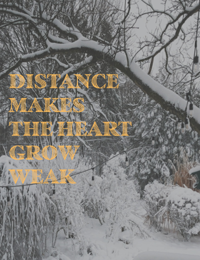 Cover image of catalogue: Distance makes the heart grow weak, 2021